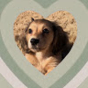 Meet your Posher, Isabel